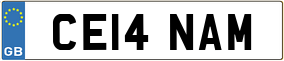 Trailer License Plate